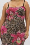 cdd25825a-84ab_animal_pri_1