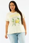 cjc2481-84j_butter_1