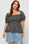 cwcc16339b-81rb_geo_print_1_1
